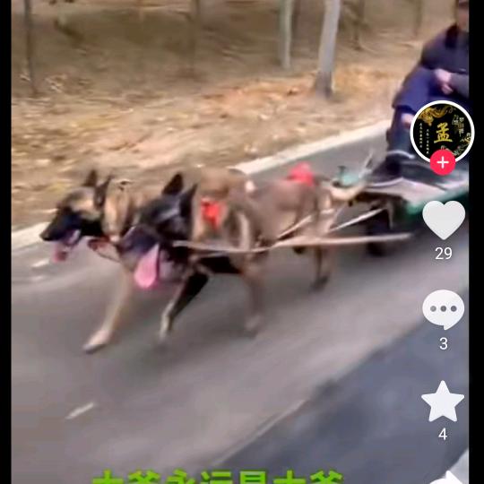 沙漠新绿洲