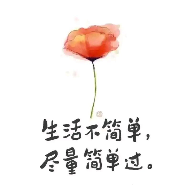 敏姐&