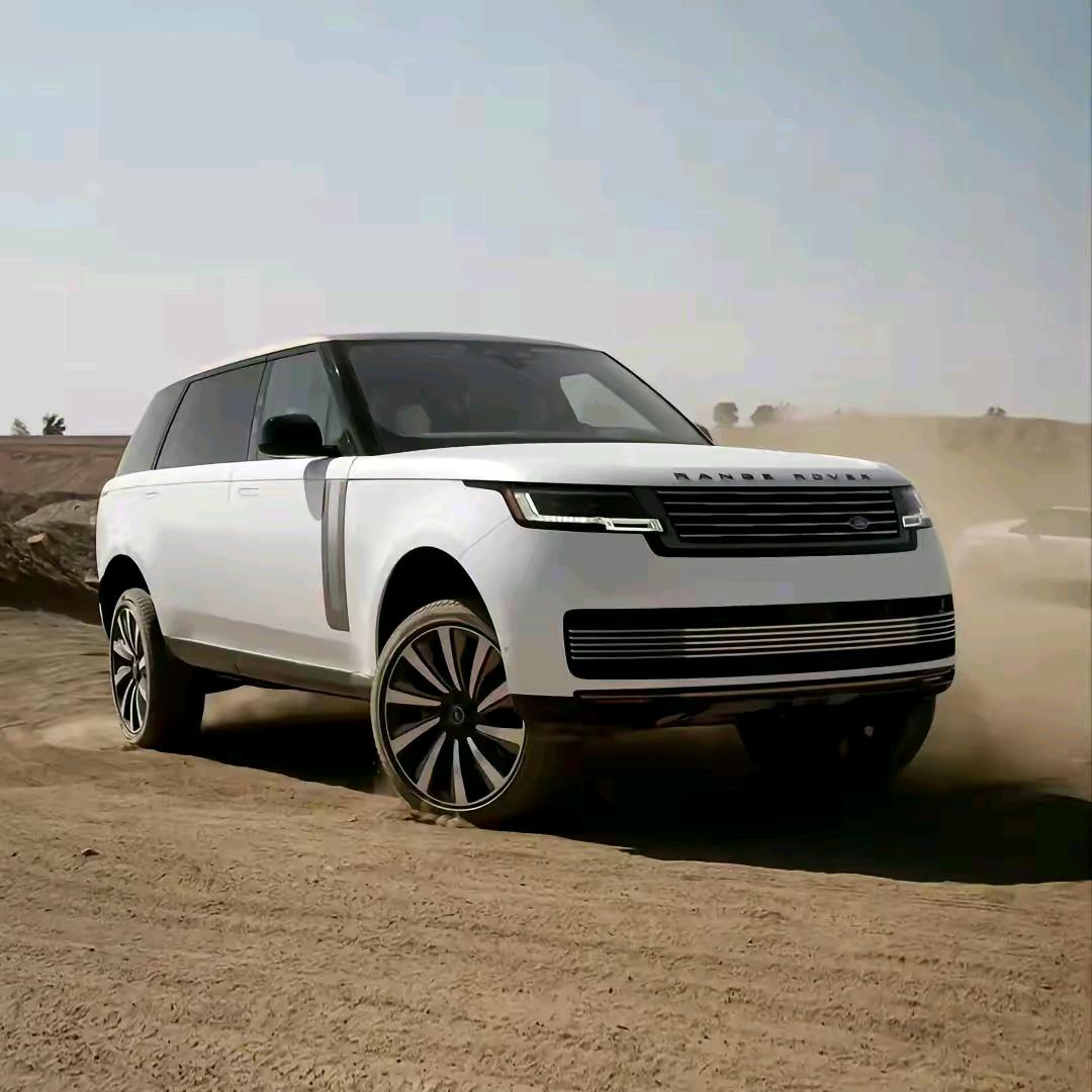 @会飞的狼🌹🌾🌺～～