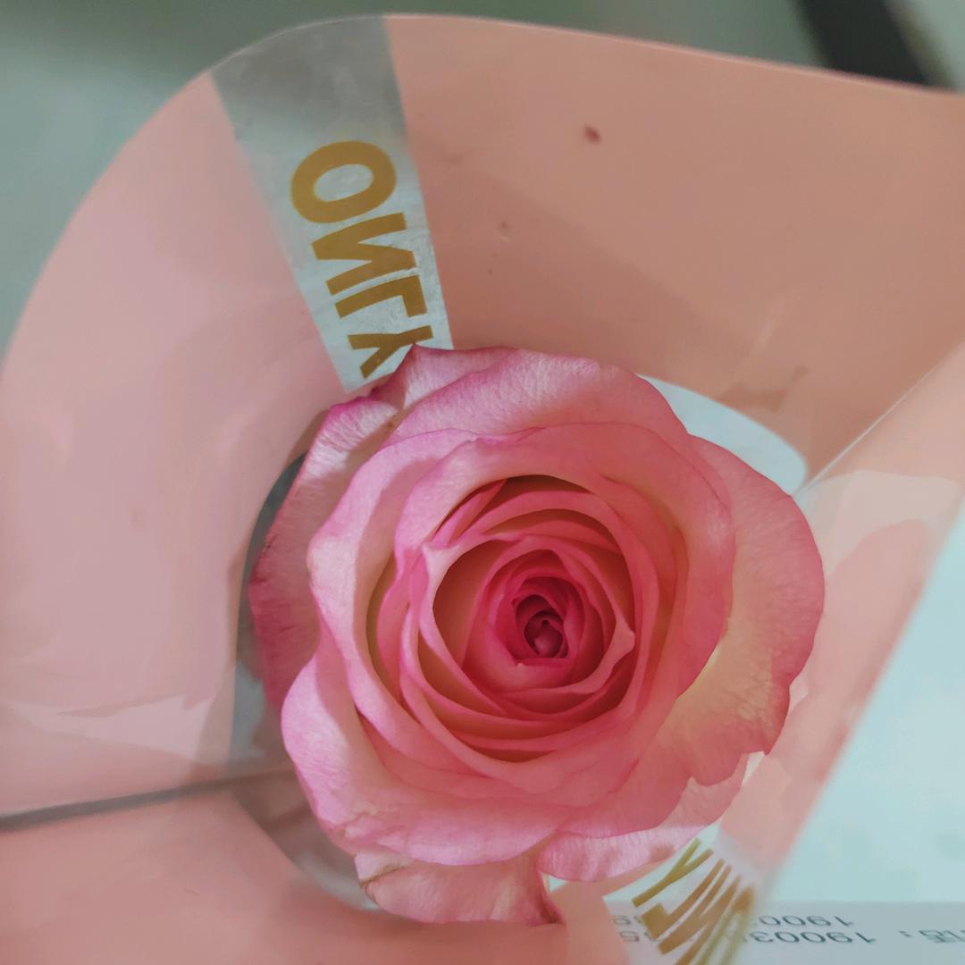 花开花落