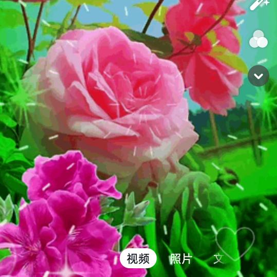 爱吃人造肉汉堡  的莫擎头像