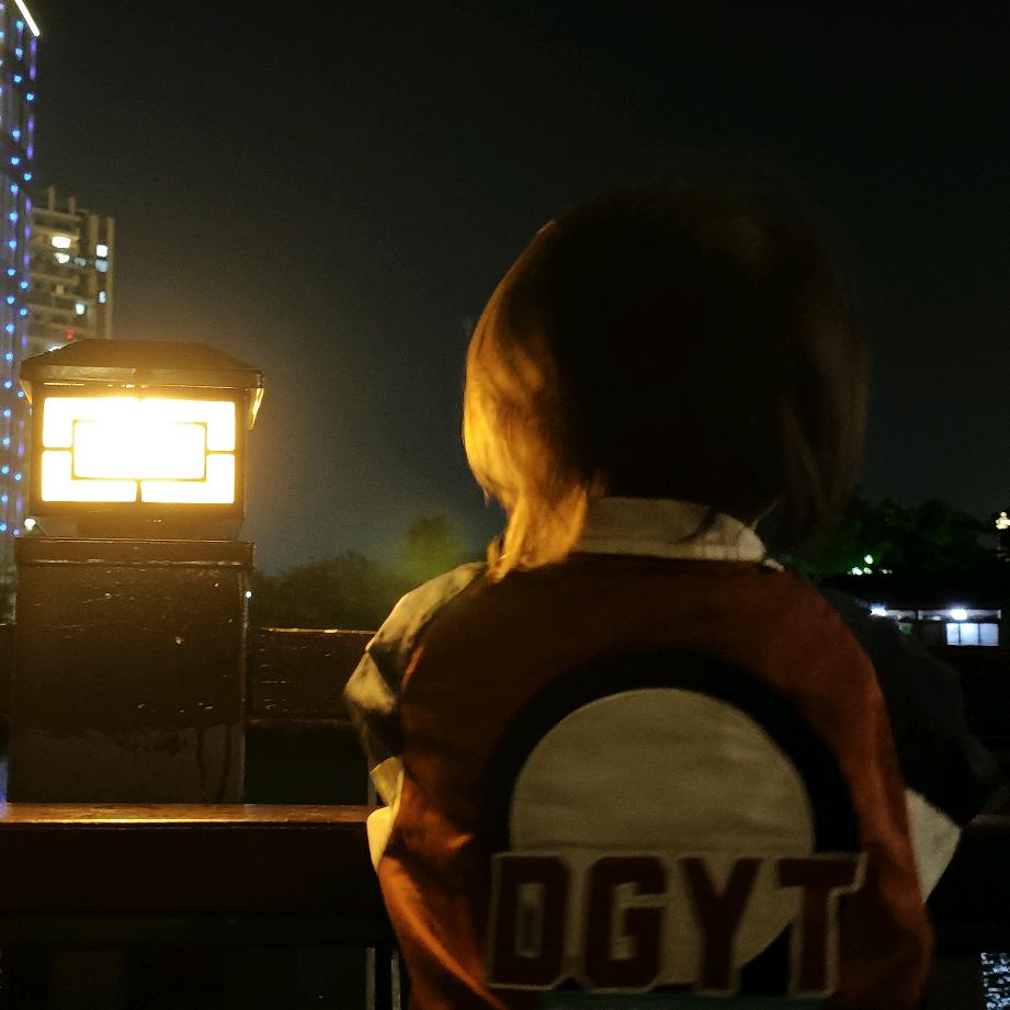 韭菜馅的冬季鸽