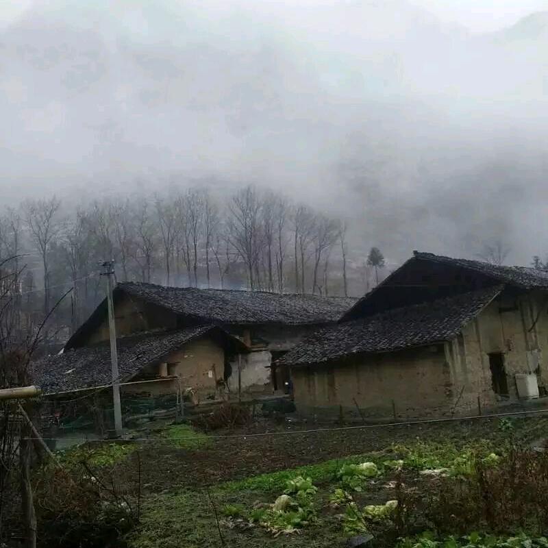 热情敷衍。