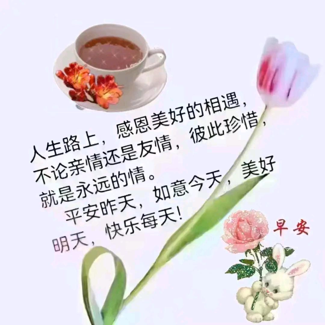 今生的依恋