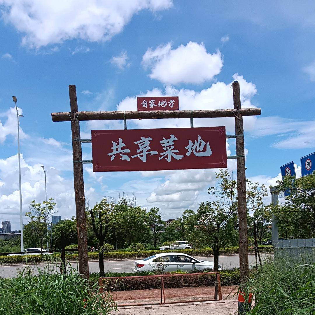 自家地方