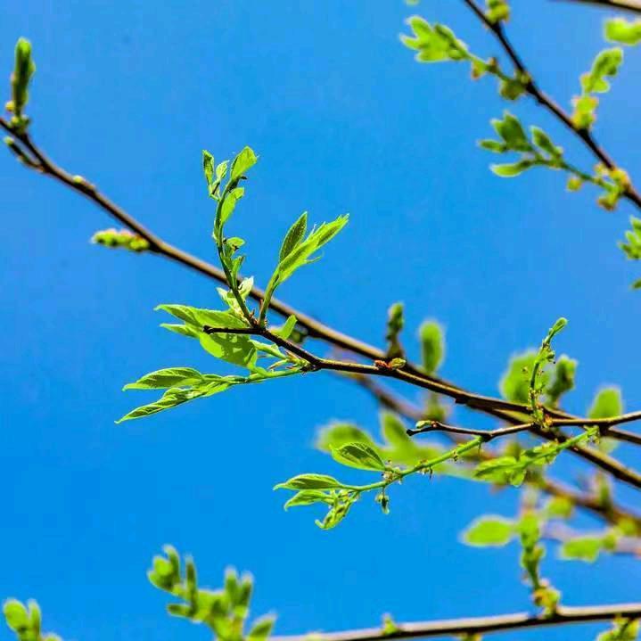 御弟哥哥💃💃🚶🚶逛酒吧🦋🦋?