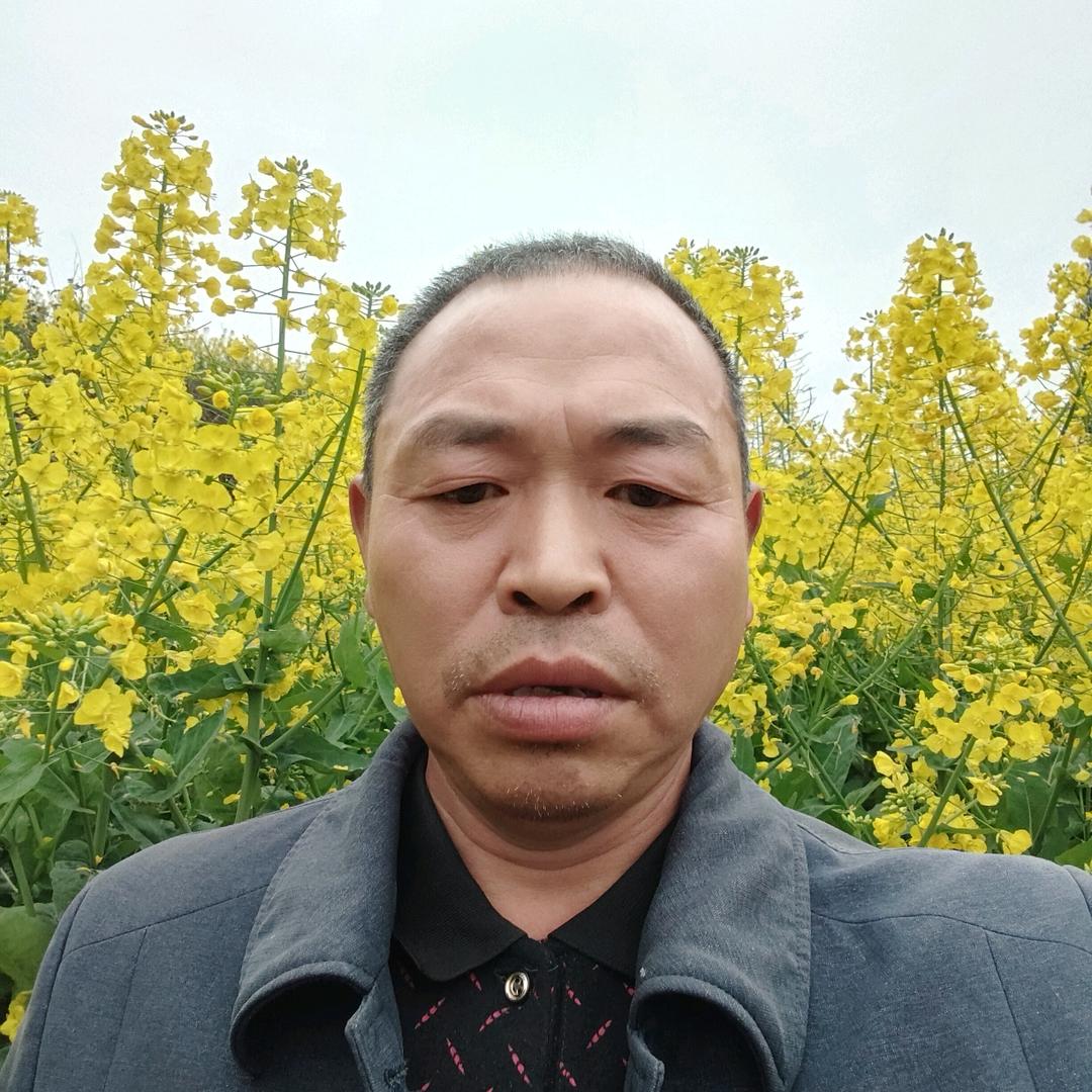 王顺果。轻刚别墅代理商