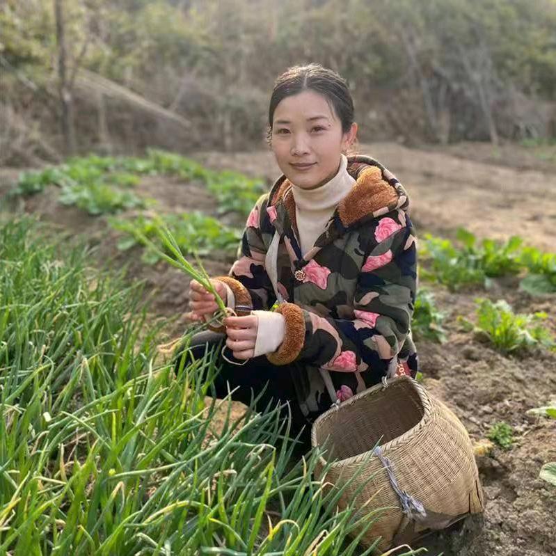 杨丽山货