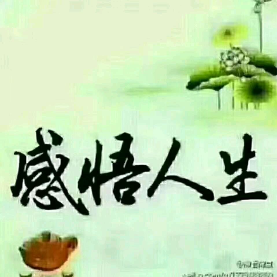 《格局》看自己的风景