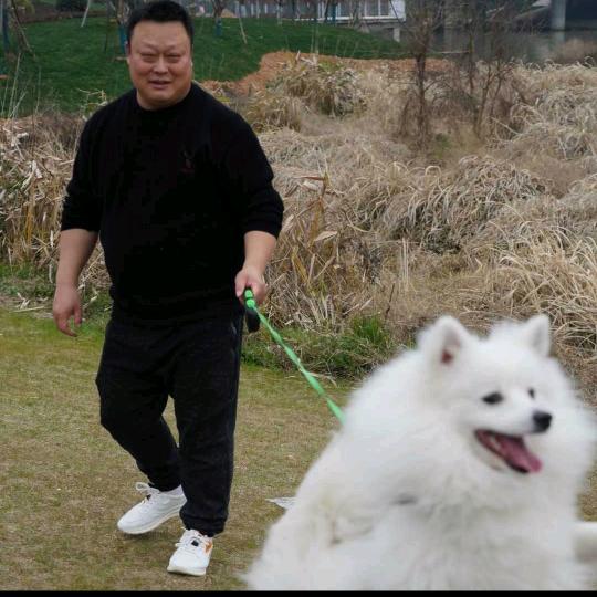 彬彬有礼