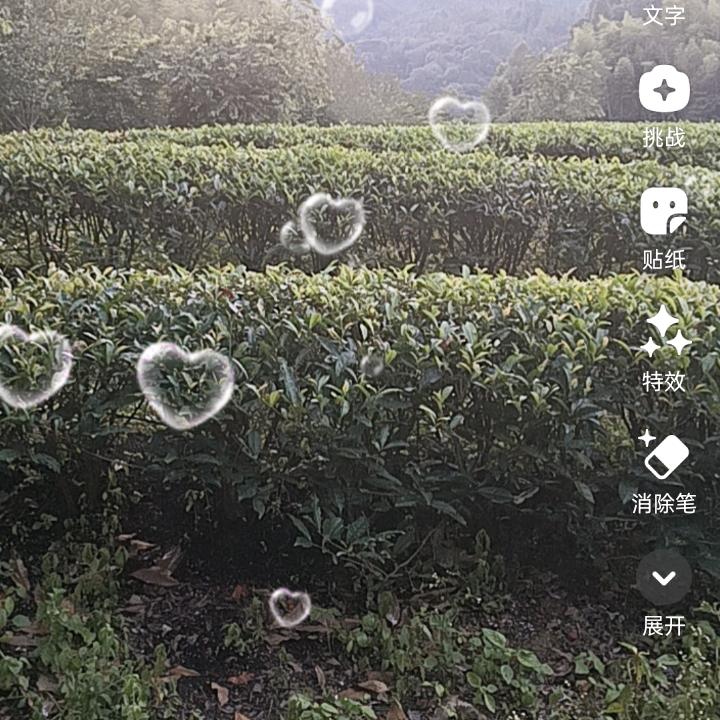 彩云追月