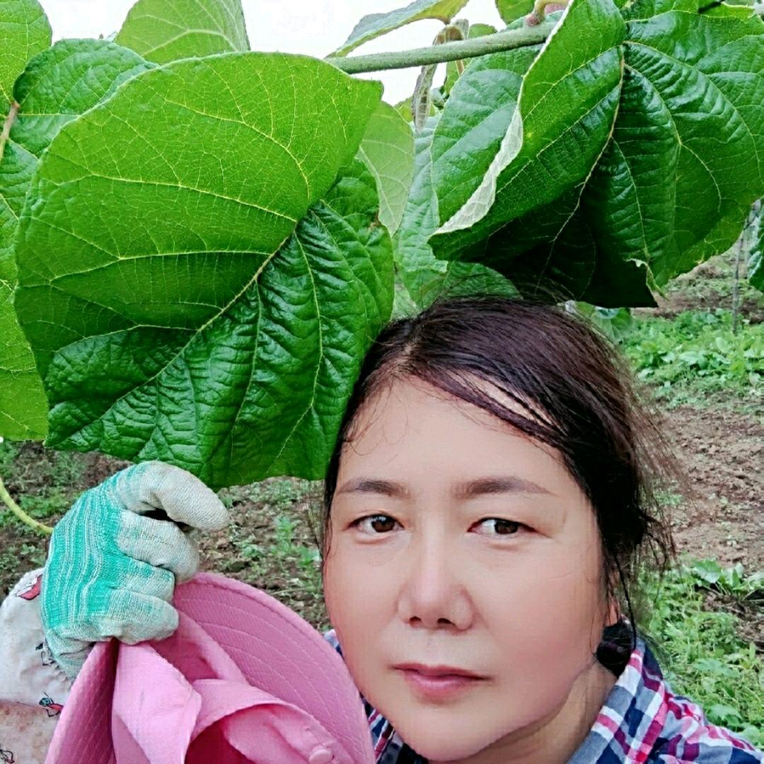 眉县娟子