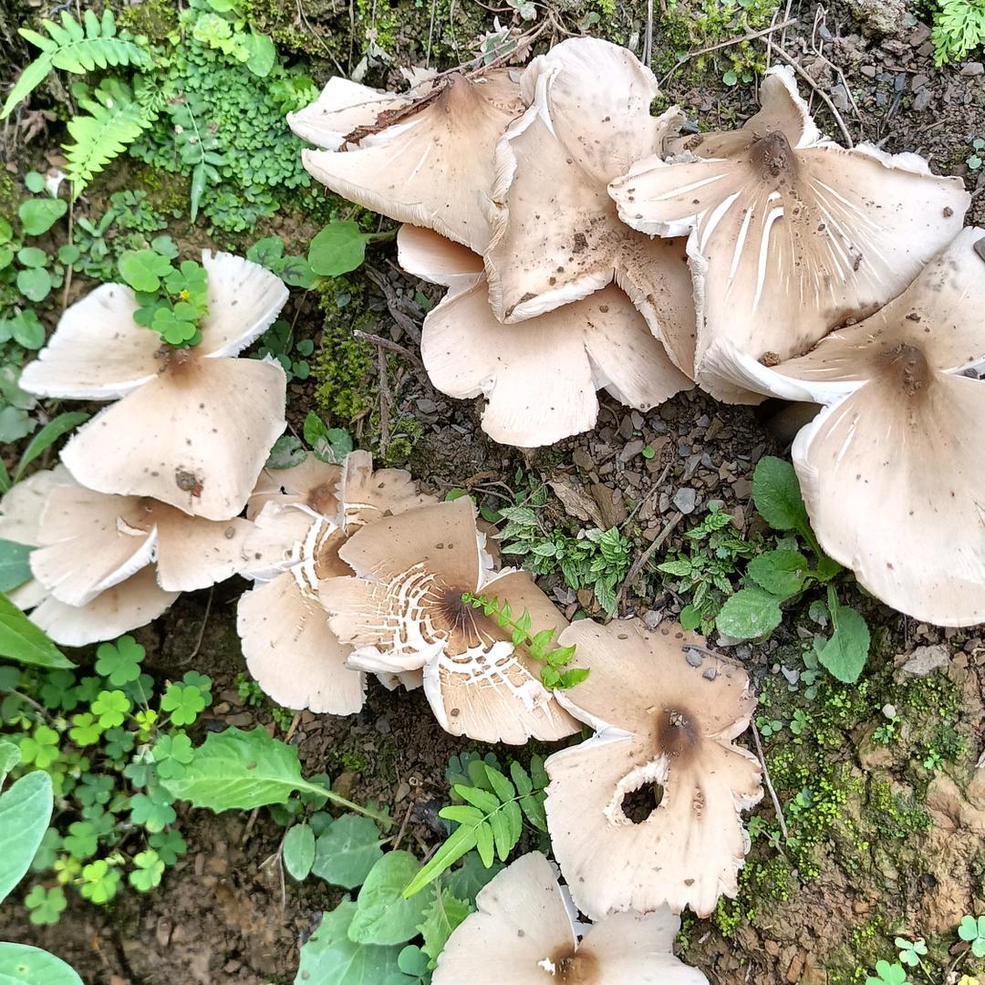 我的故事你不懂