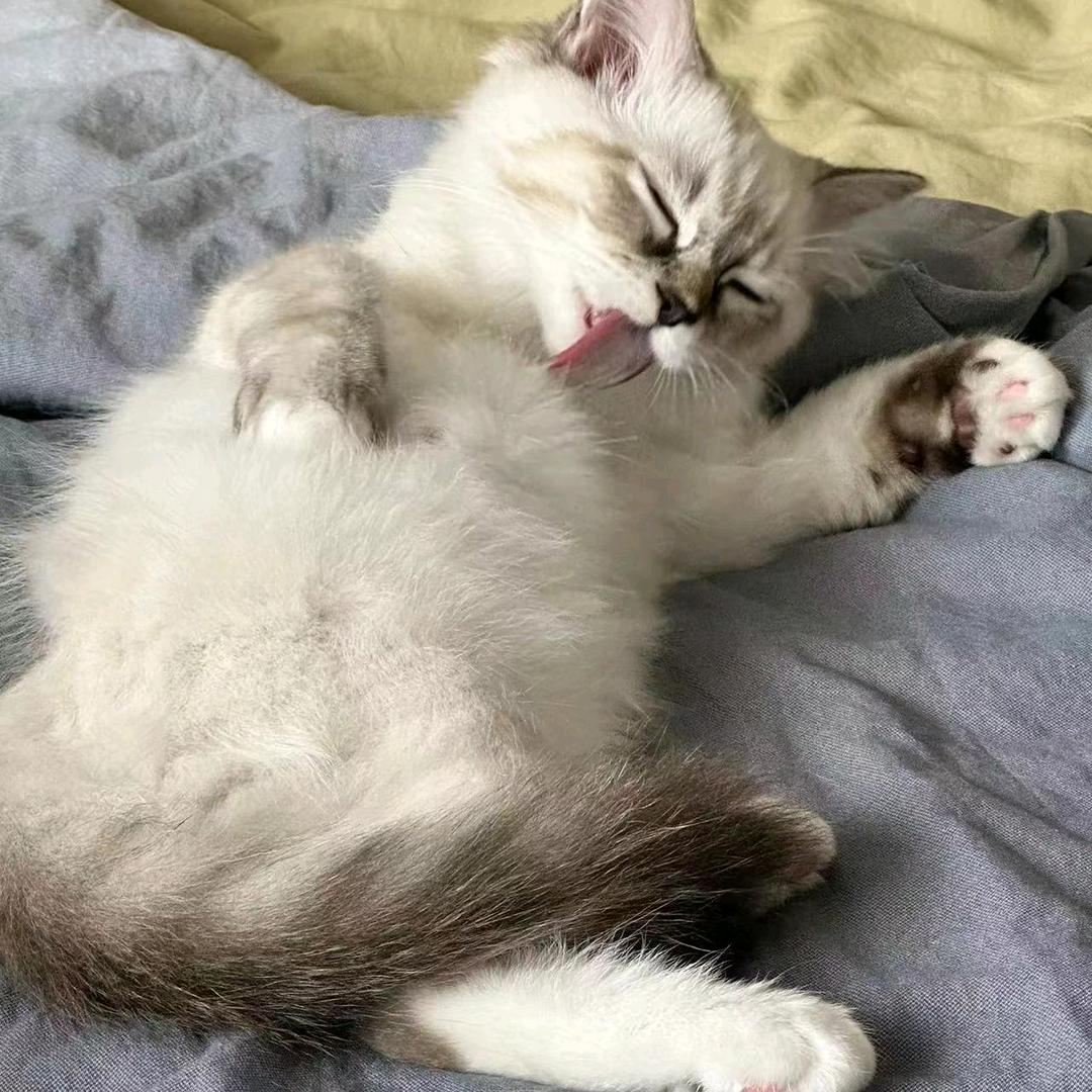 对你多一点的偏爱