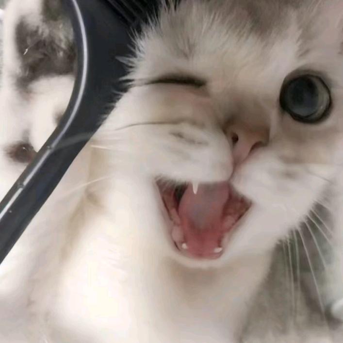 名字太长总有傻子跟着念