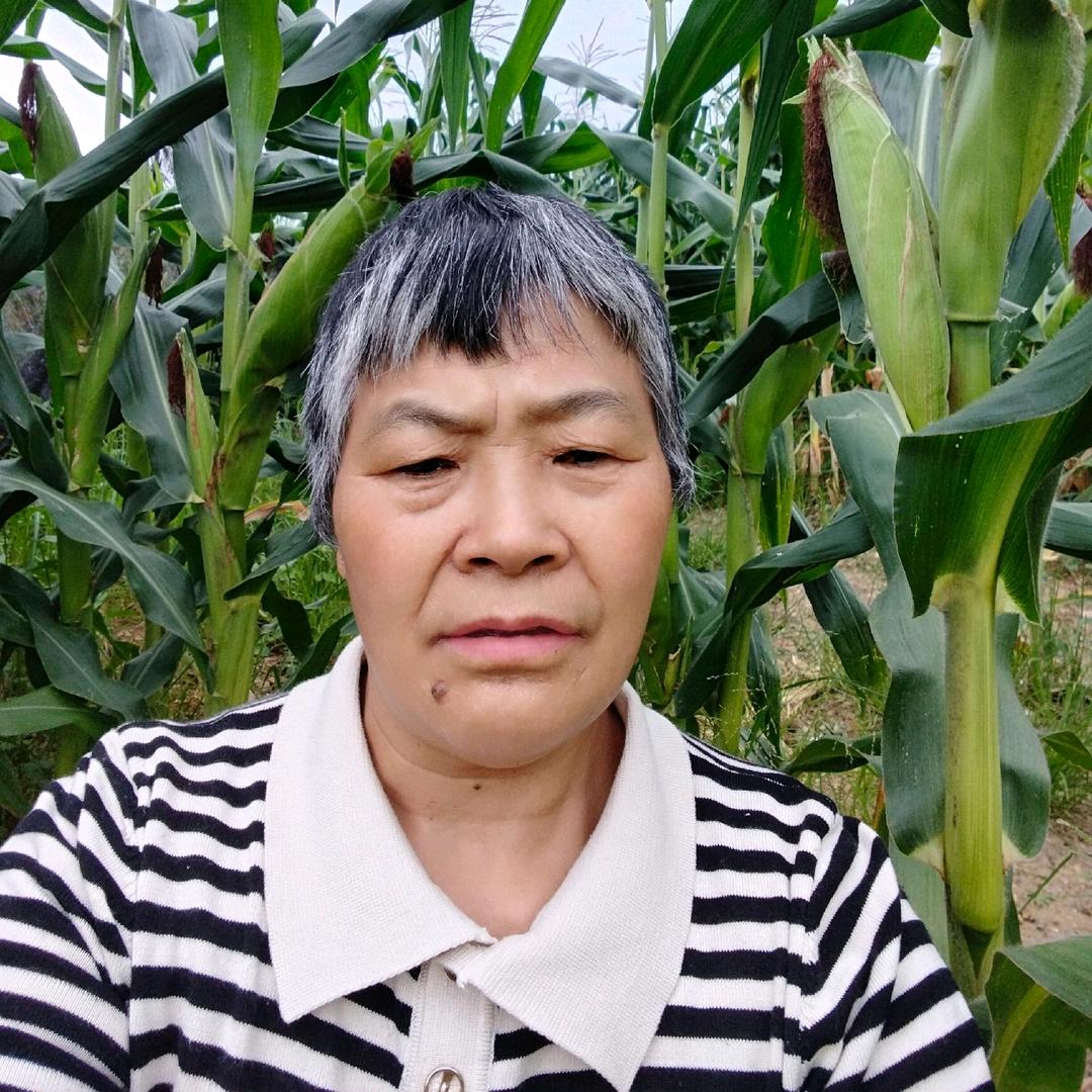 宝奶奶