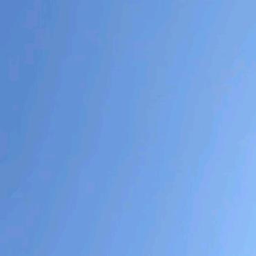 花开富贵，幸福一生