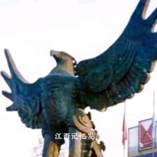 鹰（🦅）为有你