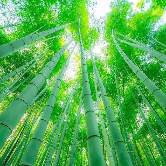 清晨123