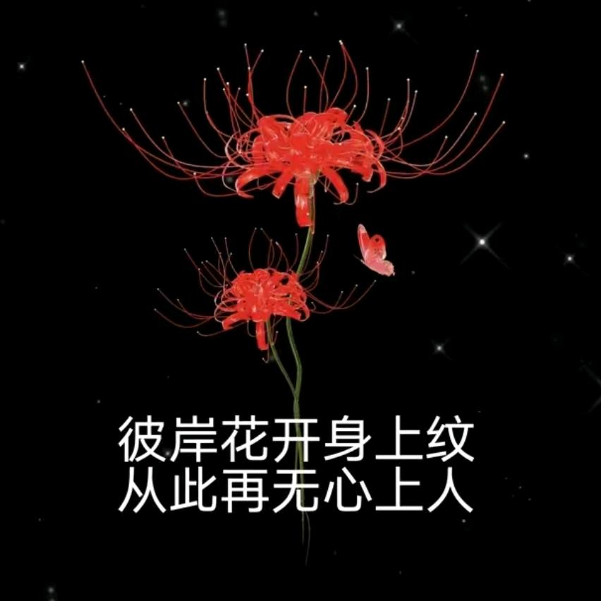 𝒜别ᩚ回ᩚ头ᩚꫛꫀꪝ: