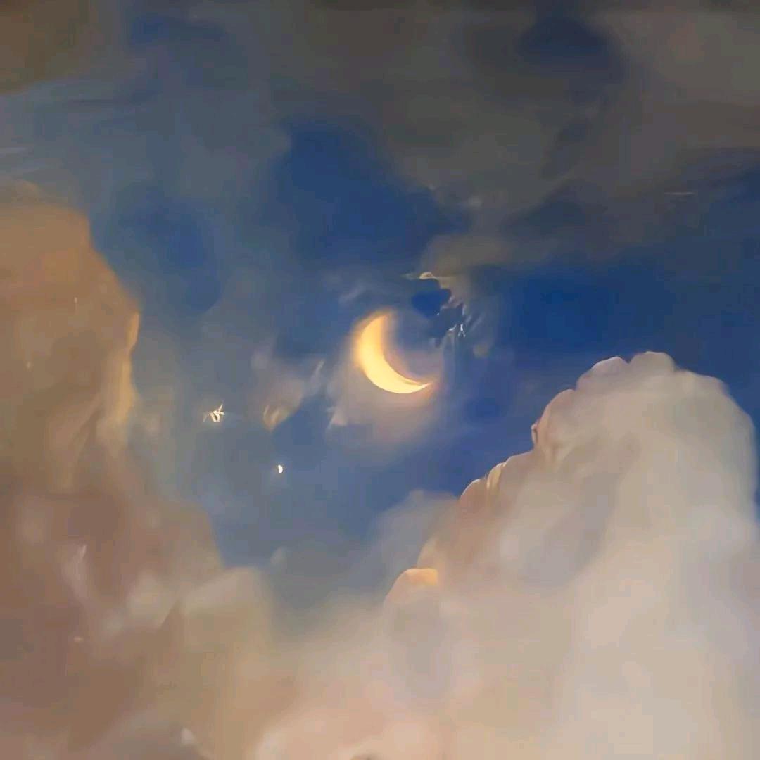 云云云云云云云云云云云