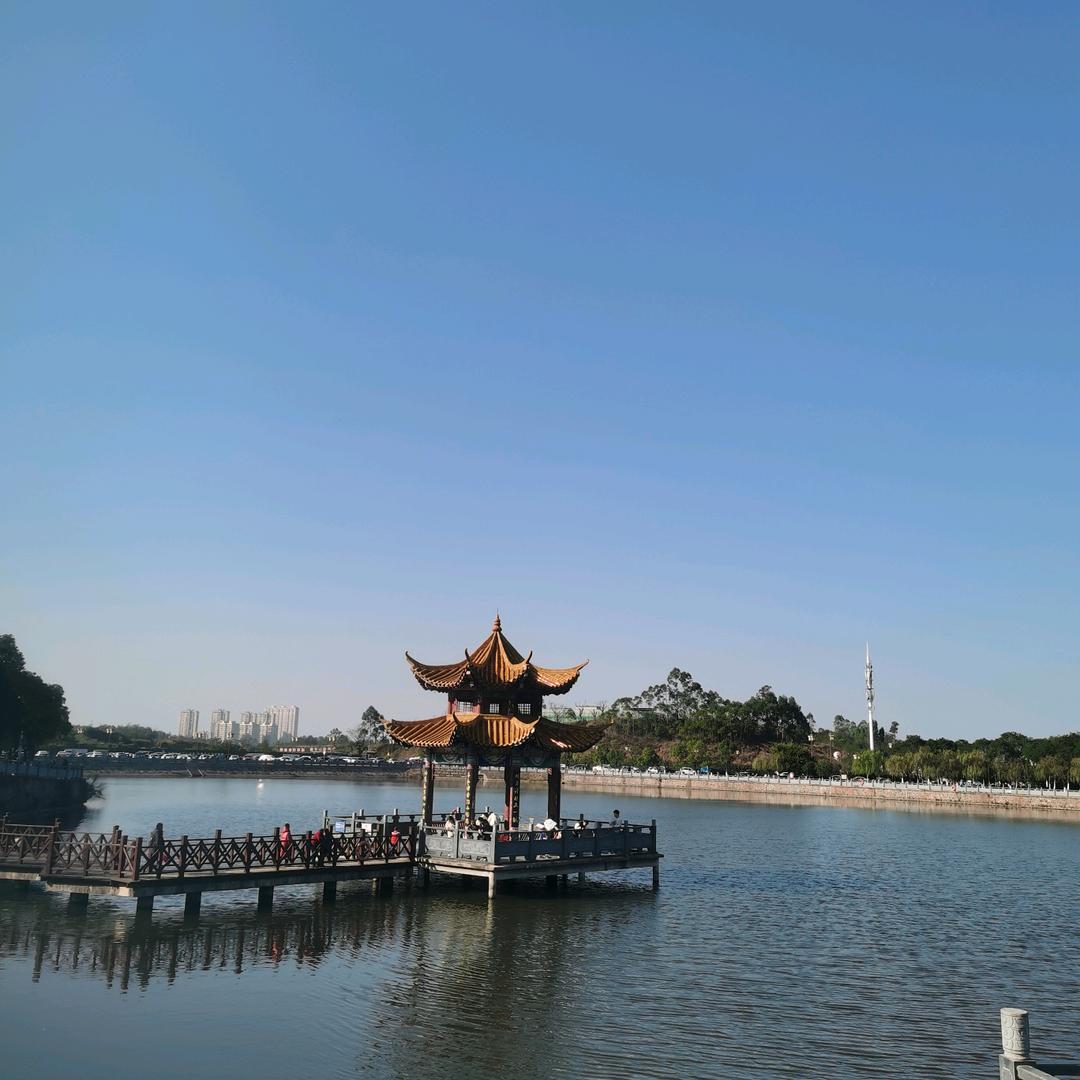 羊羊好物