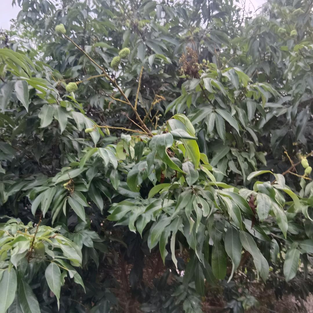 花好月圆。
