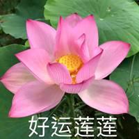 涵媛硕