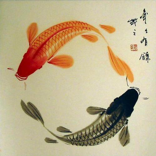 锦鲤家