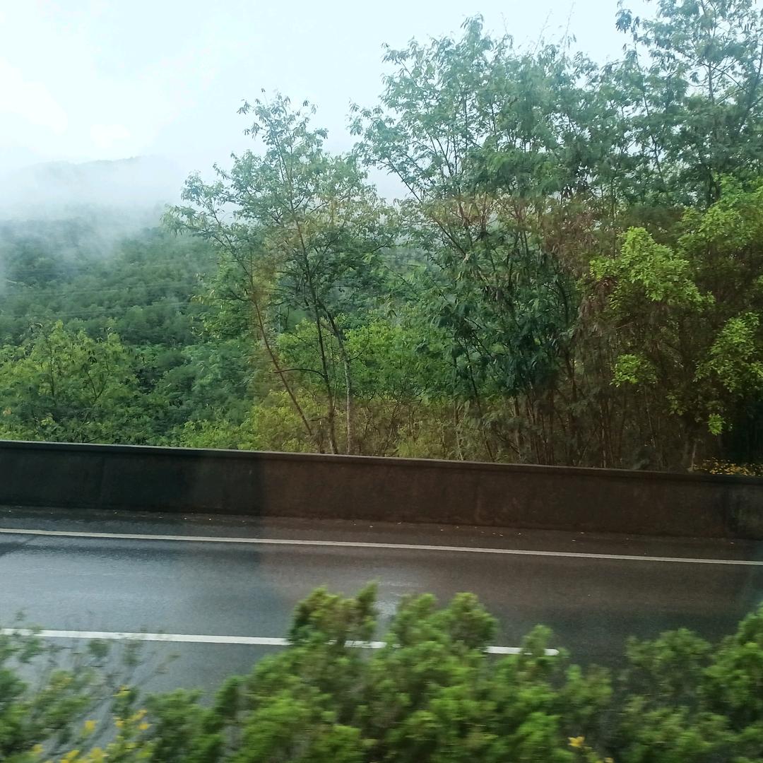 诚信新蔡华宇装饰