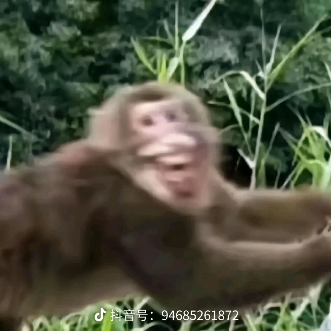 QW