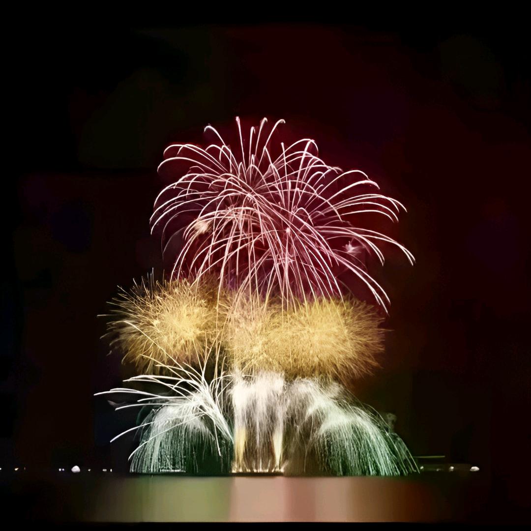 🦋🦋ꦿ🌸醴丶🕊花很美᭄ꦿᩚ💕