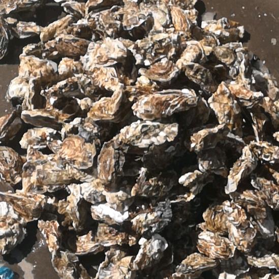 浩弟带你撸烤串吃火锅
