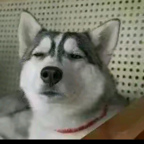 宇.：