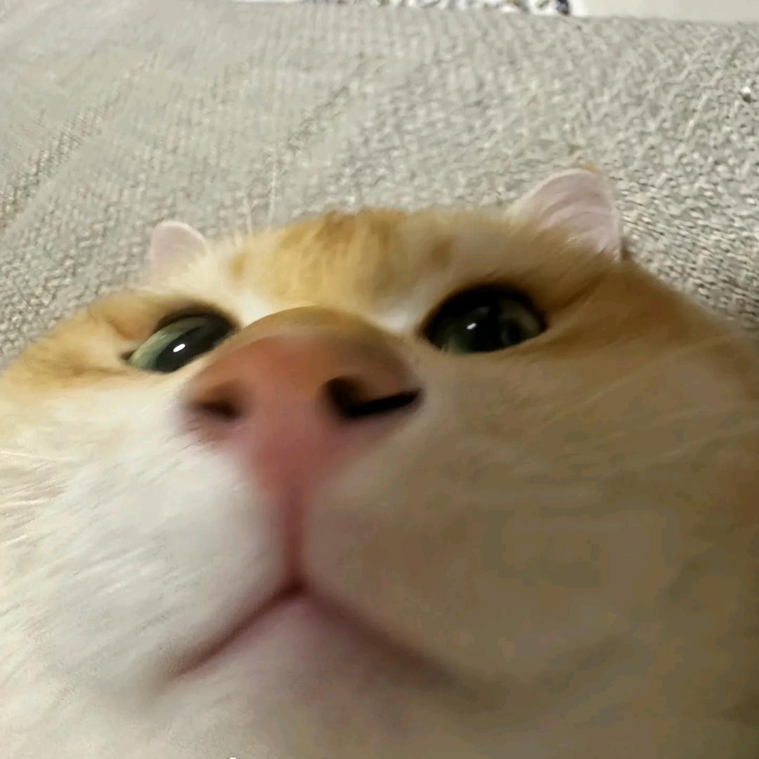 程汁
