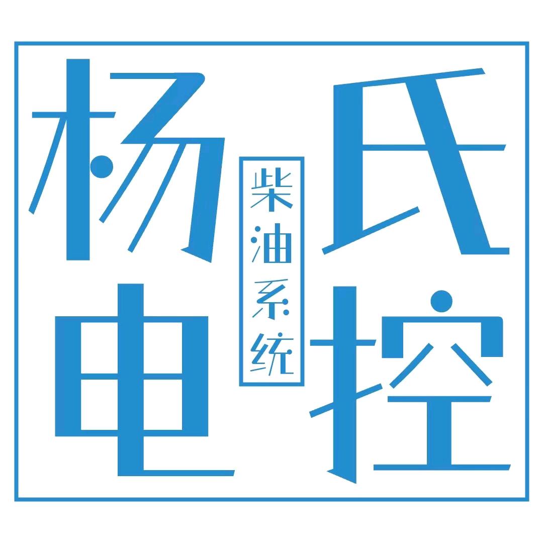 杨氏柴油电喷油泵油嘴维修