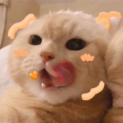十年农批