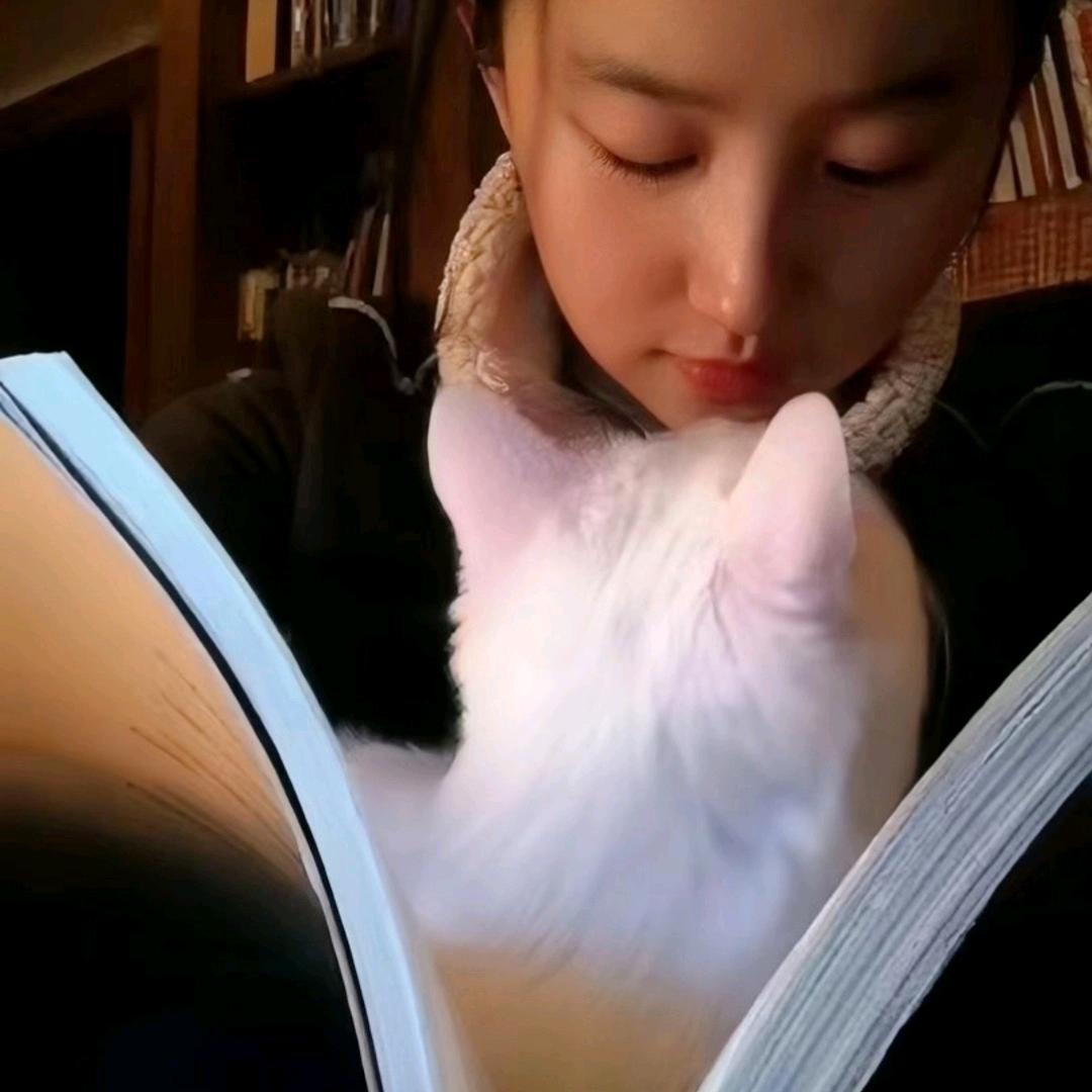汤圆的幸福日记（🔝🎁）