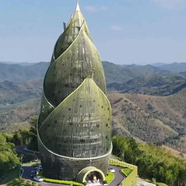 花花城市样样有