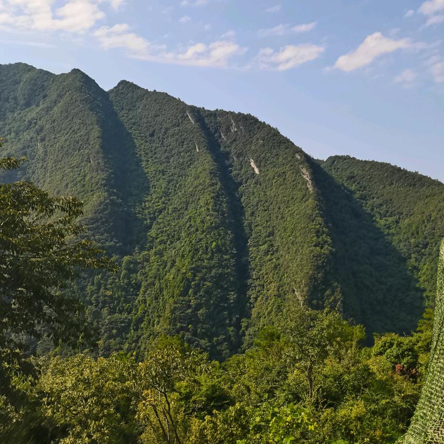 小*谢