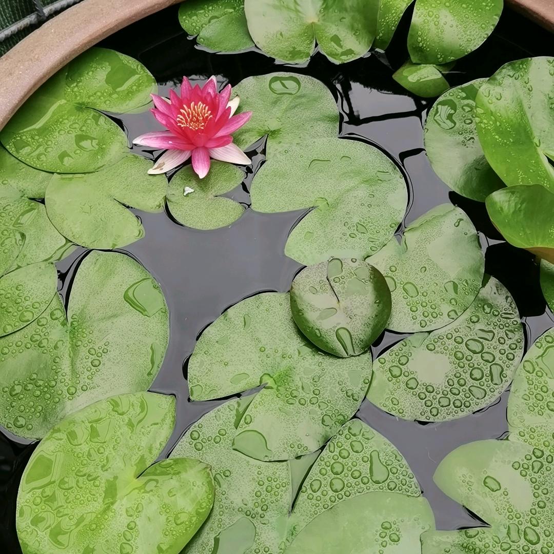 孝感市开发区众志便利店