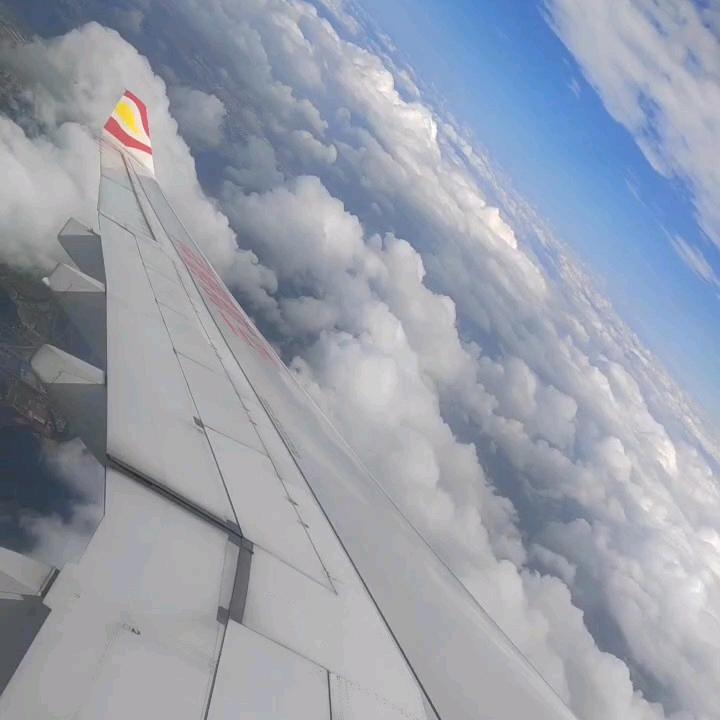 晓蓝湿