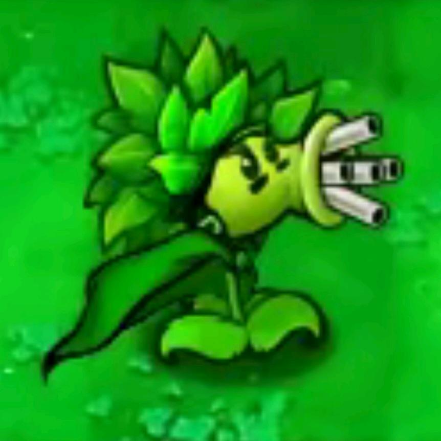 (๑•̌.•̑๑)ˀ̣ˀ̣