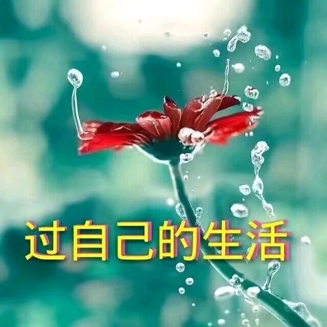 ꫞感恩的心