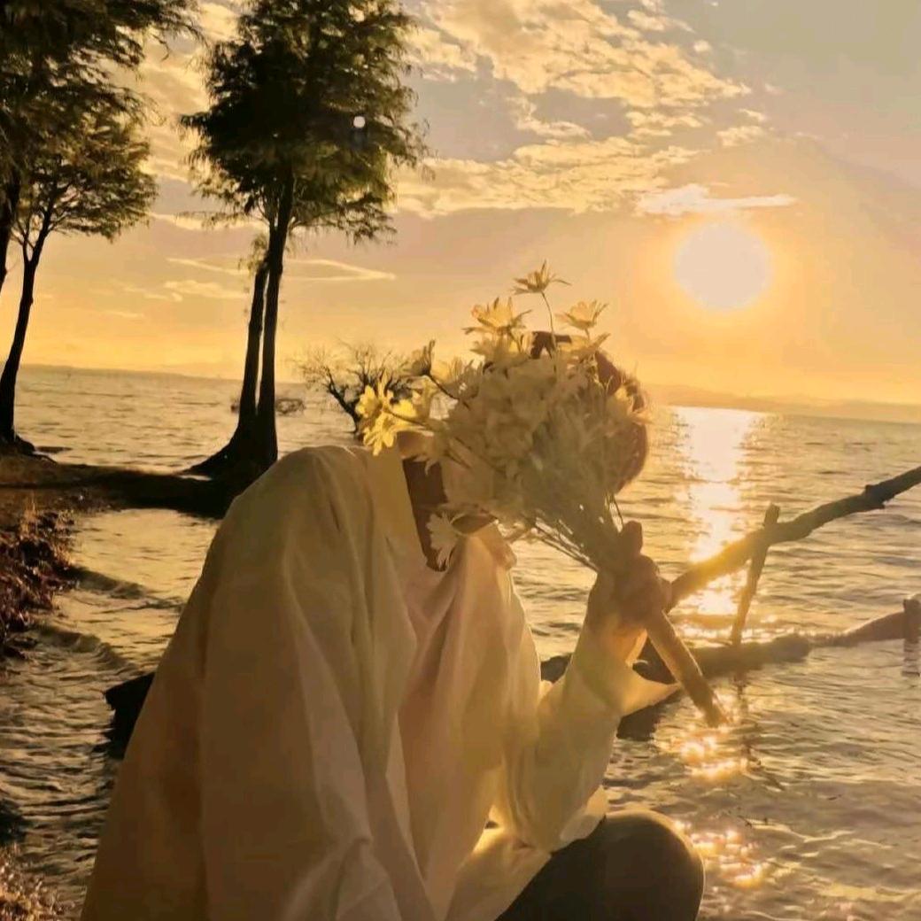 毛毛想吃米其林