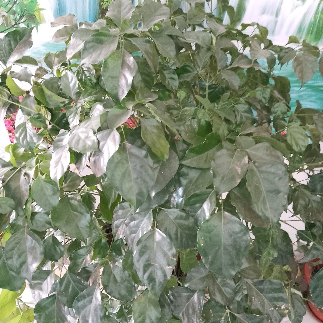 相逢已是上上签
