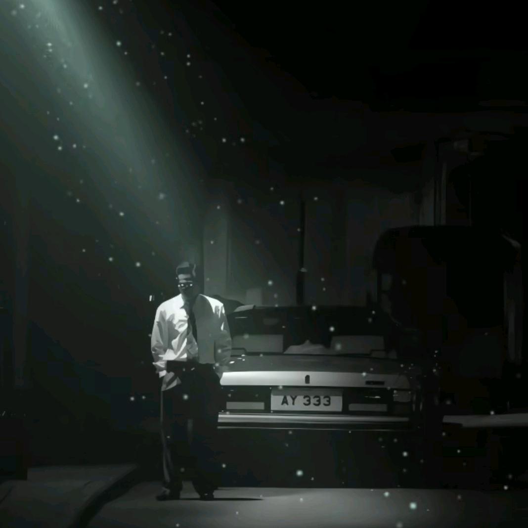 庭中梨花谢又一年'🫧