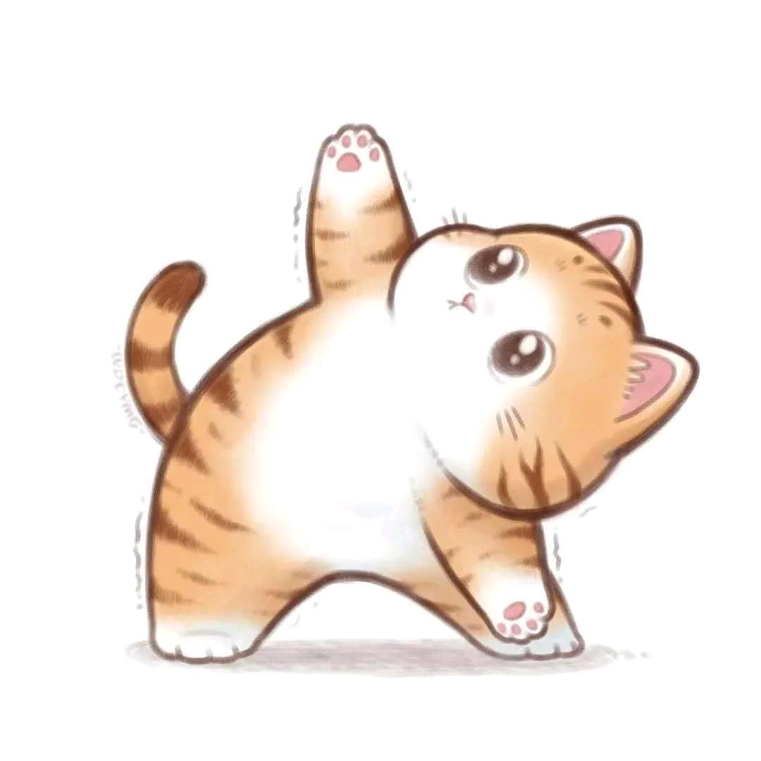 影子
