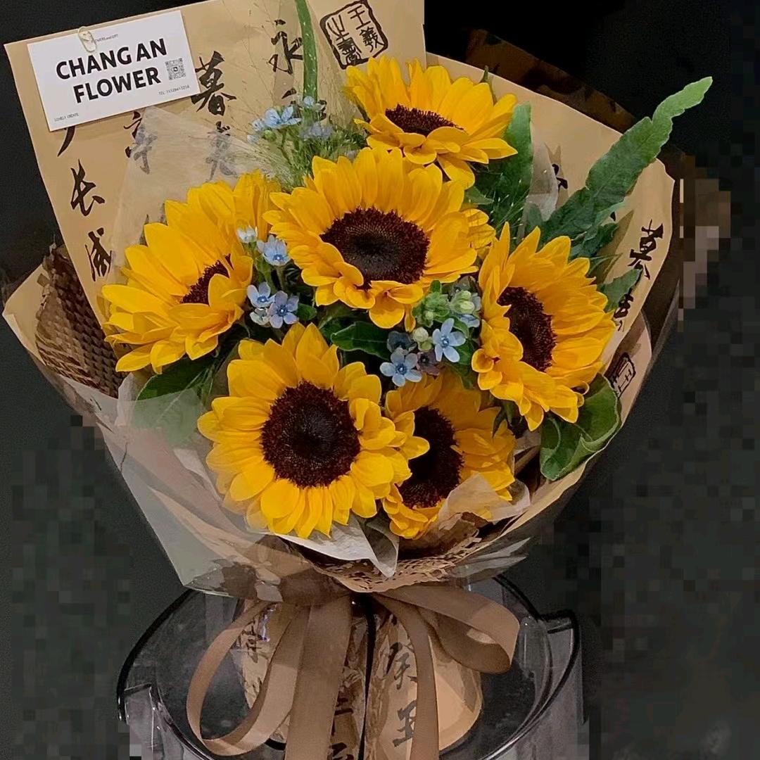 陈CHEN