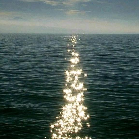 环保设备干湿分离机